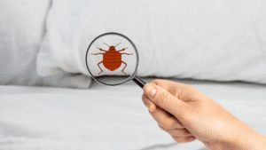 Picture19 300x169 - How to Use Bed Bug Sprays and Repellents