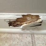 termite damage 150x150 - Photo Gallery