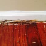 termite damage 2 150x150 - Photo Gallery