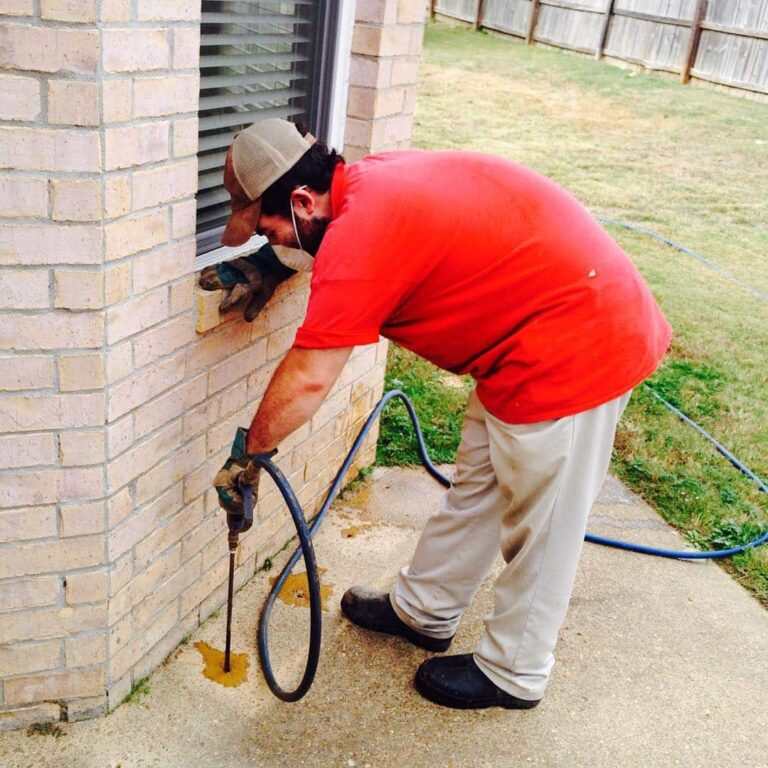 Pest Control Services Near Memphis