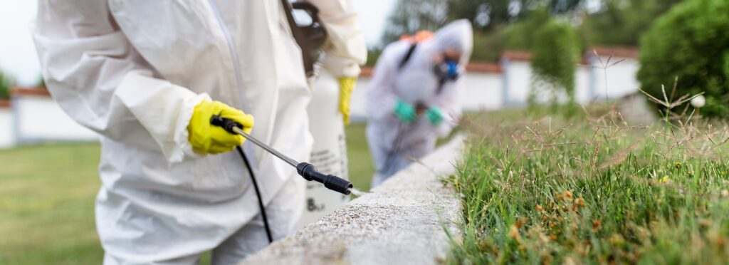 Pest Control Services Near Memphis