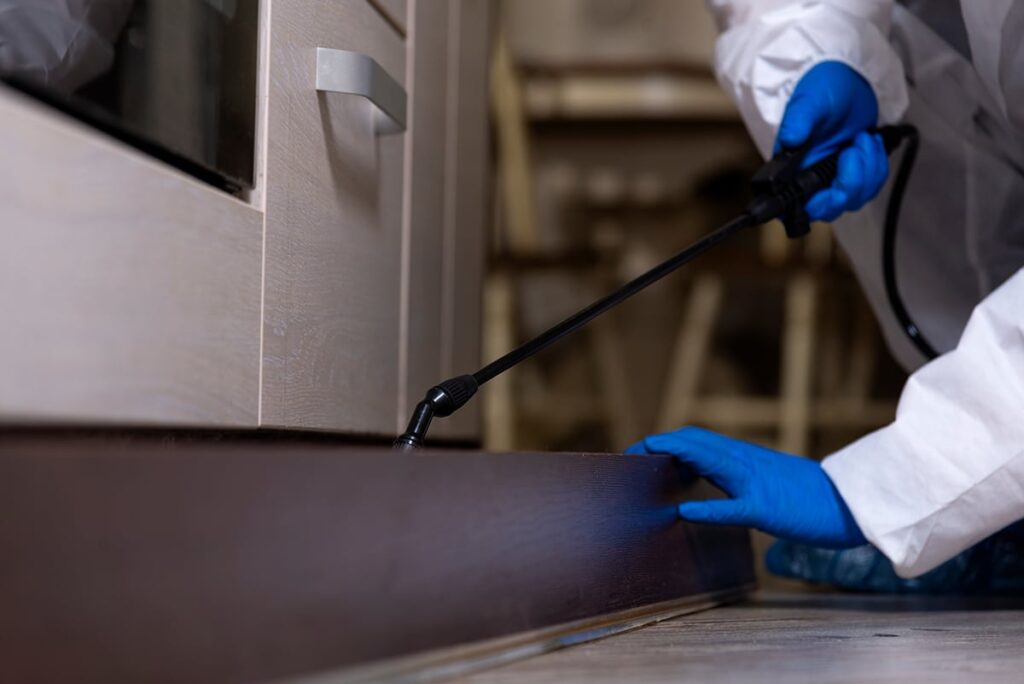 Residential Pest Control Services Near Memphis