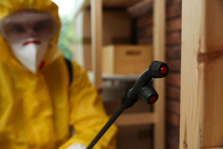 Commercial Pest Control Services Near Memphis